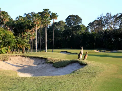 호주 골드코스트 골프 7일 생츄어리 코브/로얄 파인/레이크랜드 단독 2인 플레이 18H 3회 자연친화적 골프장 전 일정 가이드/차량 제공 골드코스트 랭함 브리즈번 엠포리엄 대한항공