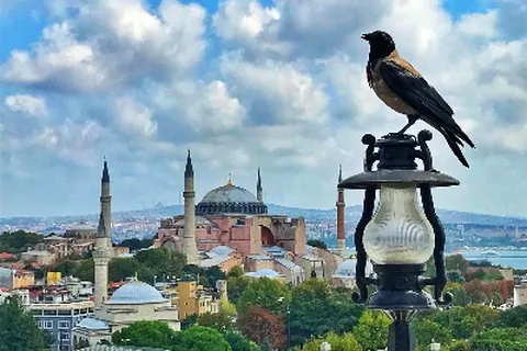 튀르키예(터키) 주요 도시 투어 5일 이스탄불 출도착 국내선 2회포함 카파도키아_와이너리투어 안탈리아 파묵칼레 에페소 5성급 호텔 숙박 온천호텔 동굴호텔 이스탄불출발