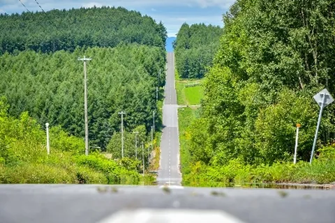 [선착순 특가] 할인홋카이도 4일 사계절의 매력 북해도 후라노+비에이 도야 오타루 티웨이항공 인천출발