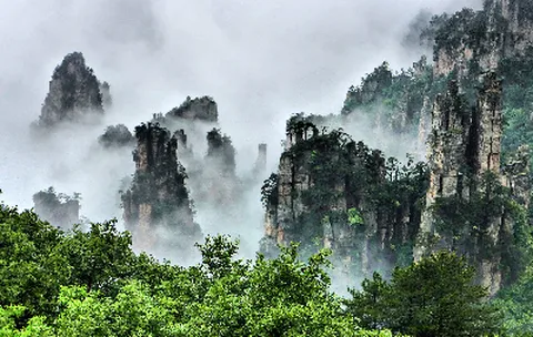 [출발확정]장가계직항 5일 천문산케이블카 원가계 관광지 중심 준5성급호텔 핫플레이스 72기루 리무진버스 포토북 특식6회 사천항공 인천출발