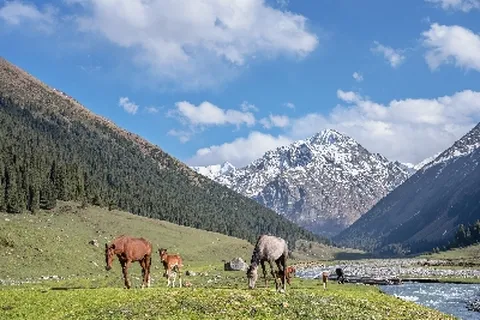 키르기스스탄 5일 겨울여행 액티비티 파노라마설경 노천온천 스카즈카캐니언 티웨이항공 인천출발
