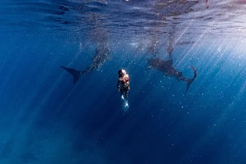 세부 자유여행 5일 사보이리조트 뉴막탄위치 슈페리어룸 리조트조식 공항픽업 여행자보험 에어부산 부산출발