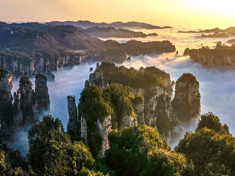 [출발확정/스마트초이스]장가계직항 5일 천문산케이블카 관광지 중심 5성급호텔 핫플레이스 72기루 귀곡+유리잔도 원가계 발마사지 리무진버스 포토북 특식6회 쇼핑2회 사천항공 인천출발