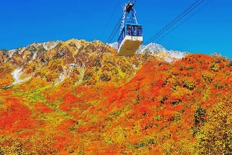 [100 출발확정][홈쇼핑 에디션][도야마 전세기] 알펜루트 4일 도야마직항 온천호텔3박 단풍명소 토롯코열차 시라카와고 하쿠바이와타케마운틴 360도파노라마뷰 카이센동 티웨이항공 인