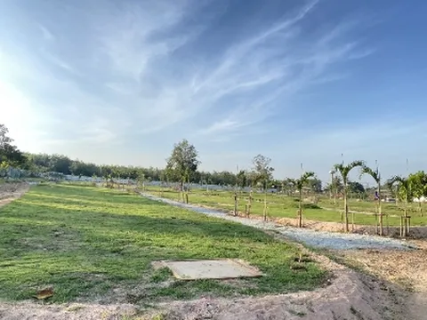 [대구출발][파크골프] 파타야 골프 5일 골프연계호텔 타이시암 파크골프 무제한라운드 4성급호텔 산호섬투어 전신마사지 티웨이항공 대구출발