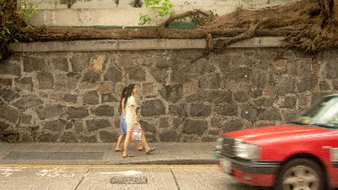 [출발확정]홍콩 4일 스마트초이스 핵심관광 1일자유 노쇼핑 밤출발 티웨이항공 인천출발