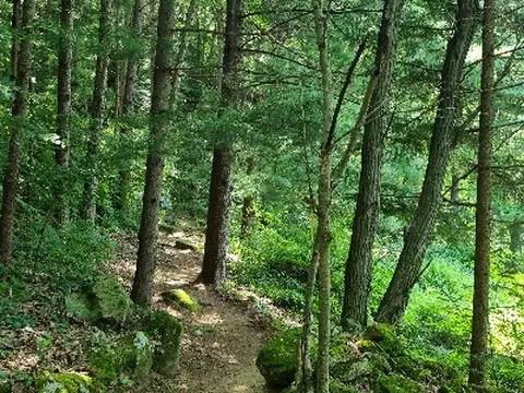 대마도 2일 신규취항 노바호 오후출발-오후리턴 히타카츠 도요코인숙박 오시카 산책길 힐링 관광 BBQ특식 온천욕 특전_휴족시간(1인1제공) 노바 부산출발