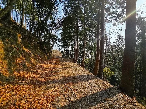 대마도 2일 신규취항 노바호 히타카츠 도요코인숙박 오시카 산책길 힐링 관광 BBQ특식 온천욕 특전_휴족시간(1인1제공) 노바 부산출발