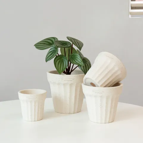 마이플랜트 로자리안 쿠앤크 프릴 9호 분갈이 국산 화분 인테리어 토분