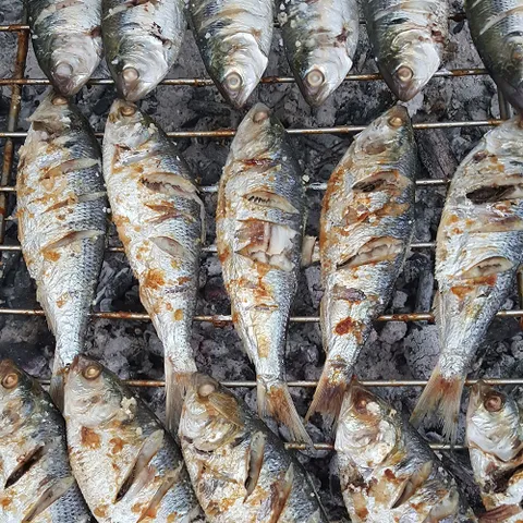 [밋앤밀] 산지직송 고흥 전어 1Kg 손질완료 / 구이용(실중량 900g) 12-16미 내외