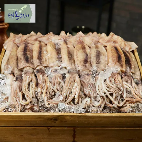 [ 수산대전 최대 20%  선착순 쿠폰, 다운필수]신선하게 손질된 손질 통오징어 260g x 8팩 총16미(팩당 2미)