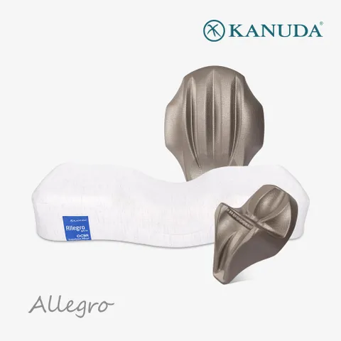 가누다베개 블루라벨 알레그로 전신케어 싱글세트(경추베개1+머리냅+허리냅)