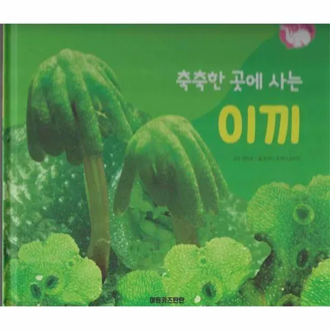 [웅진북센]축축한 곳에 사는 이끼  식물과 식생활  플러스업 자연속으로 양장