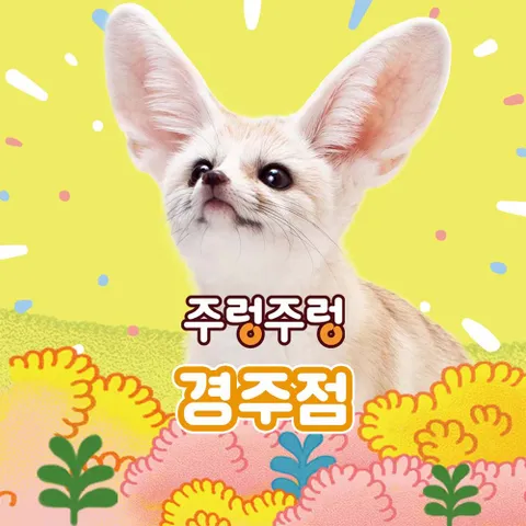 [경북] 주렁주렁 실내 동물원 경주점 주렁주렁 경주점 1인 입장권