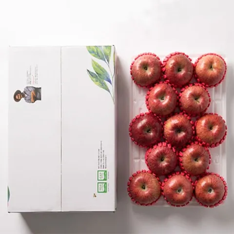 제철진미 저탄소인증 장수사과 선물세트 실속 1호 3kg (13과내)