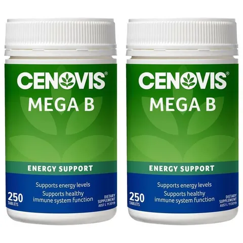 Cenovis 세노비스 메가 B 비타민B 250정 2팩 Mega B