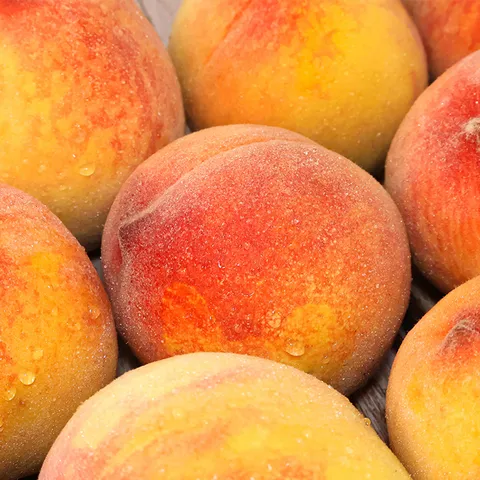 황도복숭아 복숭아 4kg 15∼16과