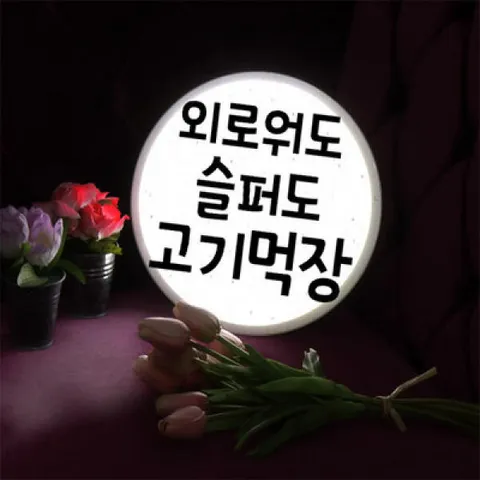 아트박스/꾸밈 nd730-LED액자25R_외로워도고기먹장_LED사인
