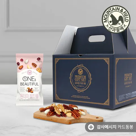 [산과들에] 피칸 하루견과 원데이뷰티풀 100봉 프리미엄 선물세트