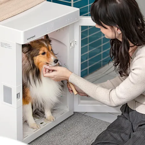 붐펫드라이룸 단델리온