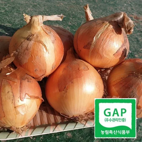 [농림축산식품부 지원, 국내산 농산물 쿠폰][청년농부] 양파 3kg GAP 햇양파 (중)