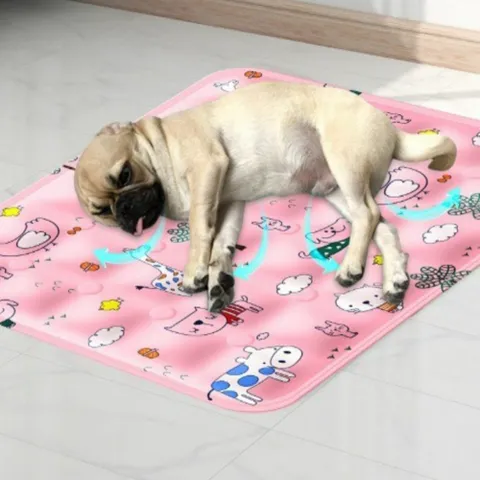 쿨매트 쿨방석 냉수매트 여름 반려견 매트 쿨 아이스 리사이클링 냉감 +할인쿠폰