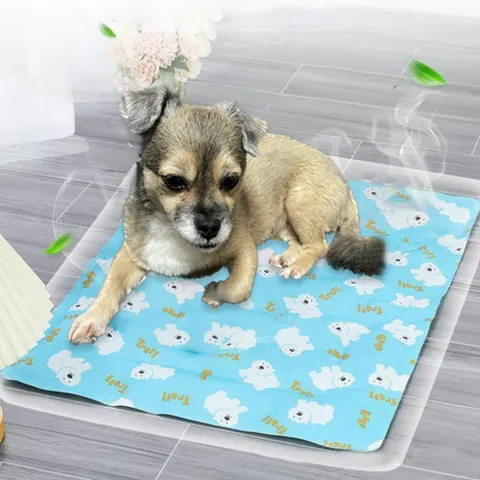 쿨매트 쿨방석 냉수매트 여름 애견 매트 쿨 강아지 고양이 방석 +할인쿠폰