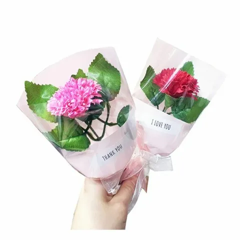 피오피스토리 카네이션 한송이 꽃다발(5인용)