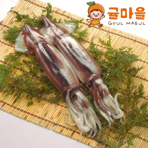 귤마을 국내산 손질 통오징어 3마리 600g내외
