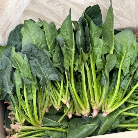 [밋앤밀] 국내산 부여 시금치 1kg