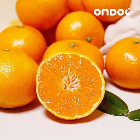 [온도씨] 제주 고당도 타이벡 감귤 2.5kg 로얄과 (S-M)