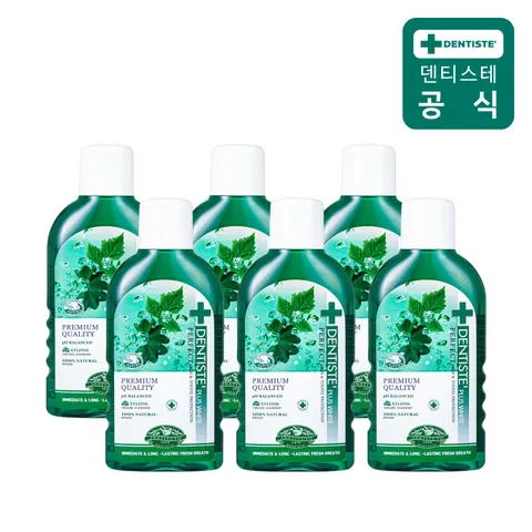 덴티스테 내츄럴 오랄린스 450ml x 6개