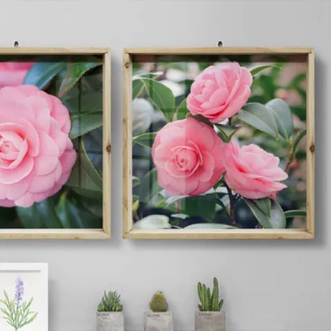 아트박스/꾸밈 ta333-우드프레임액자_풍수건강을가져다주는장미꽃(중형)