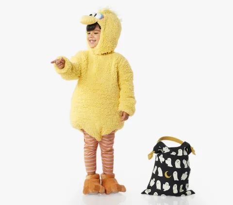 [Pottery Barn Kids]세사미스트릿 빅버드 코스튬_46T