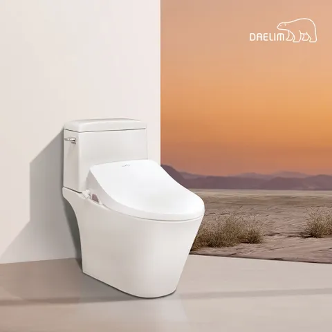 25년 최신형 대림바스  AI 스마트 컨트롤  완전 직수 순간온수 방수 리모컨 비데 DDS-S500R +할인쿠폰