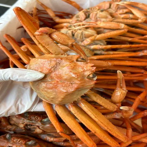 [작지만 장맛이 일품이며 가성비로 드시기 추천드립니다 .]구룡포 연지홍게 홍게제철 가성비 B급 3kg(10∼12미)