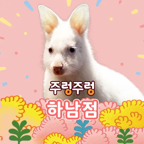 [ 구매 즉시 티켓 발송][경기]주렁주렁 실내 동물원 하남점 하남점 1인 입장권 (∼7/31)