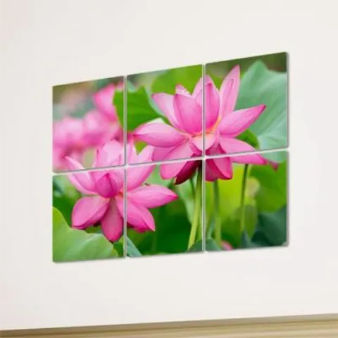 꾸밈 bh341-멀티액자 수려한연꽃