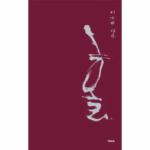 [웅진북센]홀 박지영 시집
