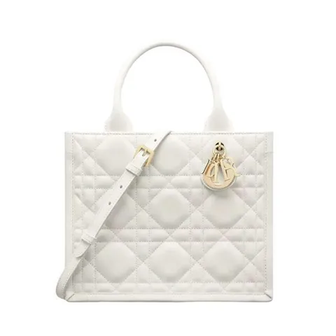 디올 Book Tote 스몰 백 M1325OWHP_M030 +할인쿠폰