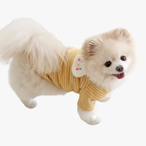 뽀송 래빗 순면 티셔츠 (옐로우)