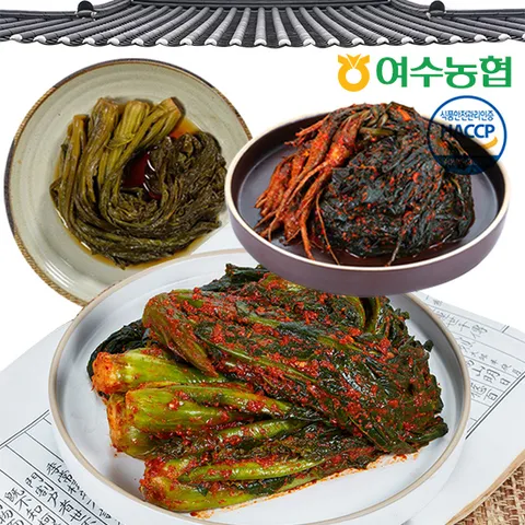 [여수농협] 여수돌산 갓김치 2kg +할인쿠폰