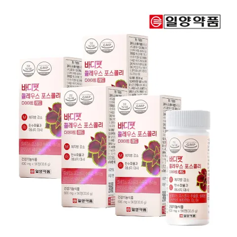 [  ]일양 바디팻 콜레우스포스콜리 다이어트 레드 16주분