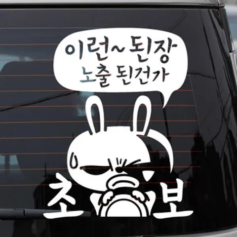 아트박스/제제데코 이런된장 노출된건가 초보