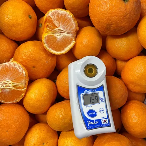 제주직송 비가림감귤 2.5kg 프리미엄과(S) 하우스감귤 비가림감귤