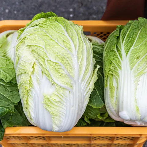 국내산 배추 통배추 2통 (4-6kg)