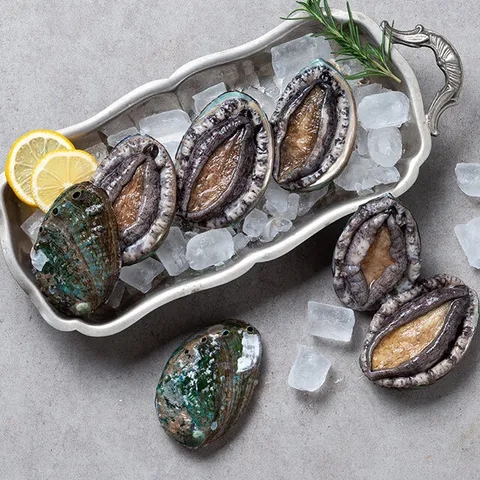 [삼해진미] 당일채취 완도 전복(대) 1kg(18∼20미) 보자기 선물포장