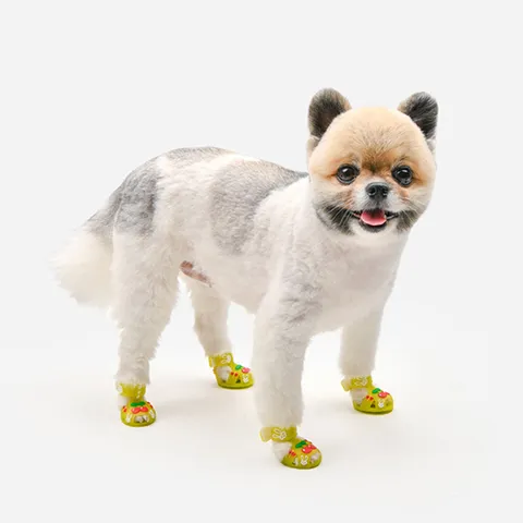 올치 깡총 젤리 슈즈_SH6789