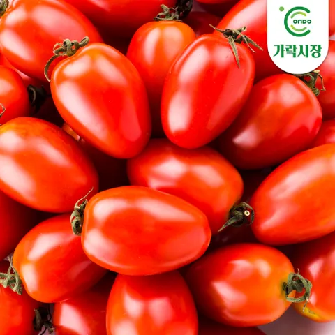 [온도씨]가락시장 당일경매 빨강 대추토마토1팩(750g)