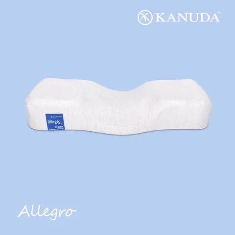 [가누다] 블루라벨 알레그로Hard 단품 (S M) / 메모리폼 경추베개